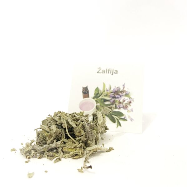 Žalfija  (Salvia Officinalis)