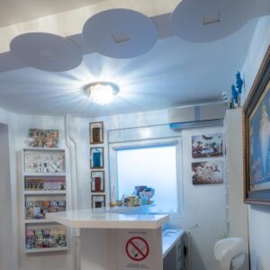 𝐍𝐄𝐔𝐓𝐑𝐀𝐋𝐈𝐙𝐀𝐂𝐈𝐉𝐀 𝐏𝐋𝐀𝐅𝐎𝐍𝐒𝐊𝐄 𝐆𝐑𝐄𝐃𝐄